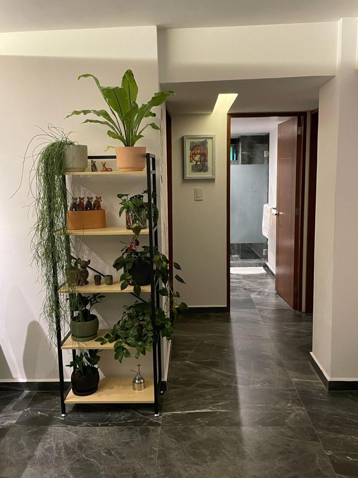 Great Apartment In The Heart Of Coyoacan Мексико Сити Екстериор снимка
